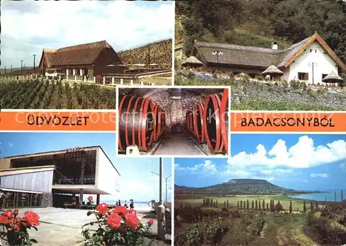 AK / Ansichtskarte Badacsony sa
Winzerei Teilansicht Panorama  Kat. Ungarn