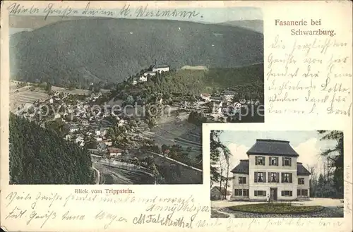 AK / Ansichtskarte Schwarzburg Thueringer Wald Panorama Blick vom Trippstein Fasanerie Fuerstliches Jagdschloss Kat. Schwarzburg