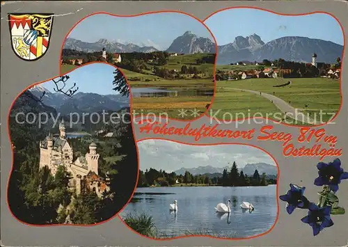 AK / Ansichtskarte Seeg Schloss Panorama Schwanensee Kat. Seeg