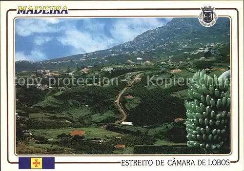 AK / Ansichtskarte Camara de Lobos Panorama Meerenge Bananenstaude Kat. Madeira