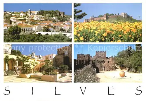 AK / Ansichtskarte Silves Algarve Teilansichten mit Festung Blumenwiese Kat. Silves