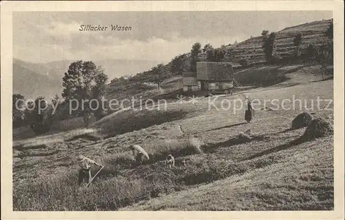 AK / Ansichtskarte Metzeral Haut Rhin Sillacker Wasen Landwirtschaft Bauern beim Maehen Kat. Metzeral