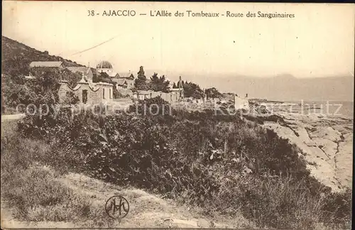 AK / Ansichtskarte Ajaccio Allee des Tombeaux Route des Sanguinaires Kat. Ajaccio