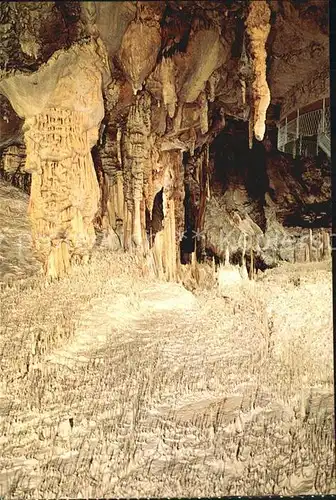 AK / Ansichtskarte Hoehlen Caves Grottes Postojnska Jama Dvorana cevcic Saal der Spaghetti Kat. Berge