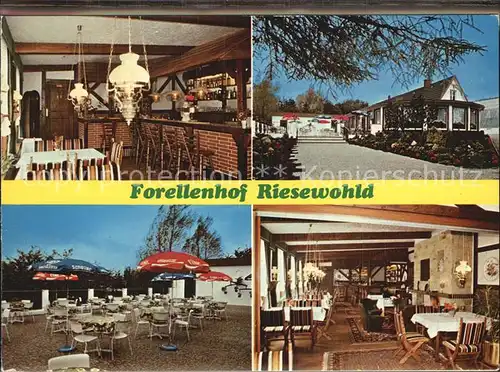 AK / Ansichtskarte Nordhastedt Forellenhof Riesewohld Bar Gartenterrasse Gastraeume Hallenbad Bungalow Kat. Nordhastedt