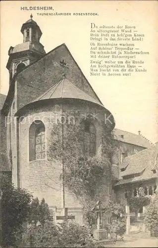 AK / Ansichtskarte Hildesheim 1000jaehriger Rosenstock an der Kirche Kat. Hildesheim