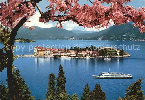 AK / Ansichtskarte Isola Bella Panorama Baumbluete Dampfer Alpen Kat. Lago Maggiore