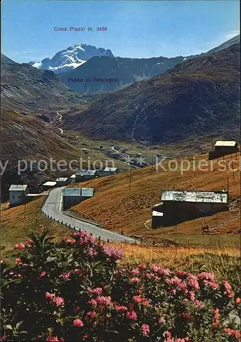 AK / Ansichtskarte Trepalle Panorama Cima Piazzi Alpenflora Kat. Italien