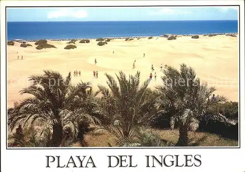 AK / Ansichtskarte Playa del Ingles Gran Canaria Palmen Duenen Strand Meerblick Kat. San Bartolome de Tirajana