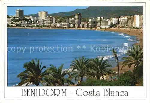 AK / Ansichtskarte Benidorm Playa de Poniente Strand Palmen Kat. Costa Blanca Spanien