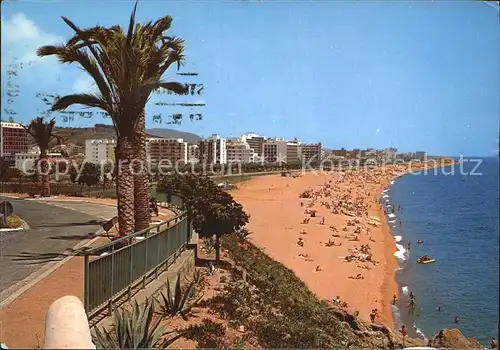 AK / Ansichtskarte Calella de Mar Playa Strand Palmen