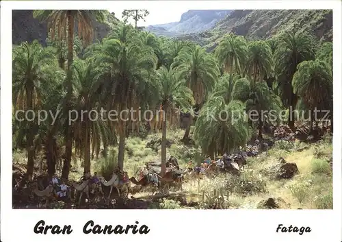 AK / Ansichtskarte Fataga Barranco de Fataga Palmen Kamelreiten