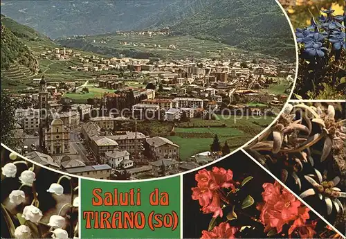 AK / Ansichtskarte Tirano Panorama Santuario Madonna Kloster Kirche Blumen Kat. Sondrio