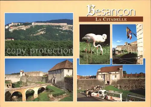 AK / Ansichtskarte Besancon Doubs Citadelle Flamingos Bruecke Festung Kat. Besancon