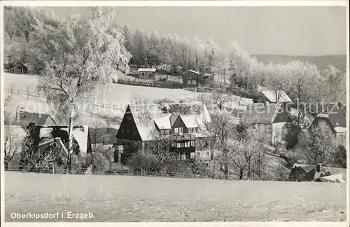 AK / Ansichtskarte Oberkipsdorf Teilansicht Winterpanorama