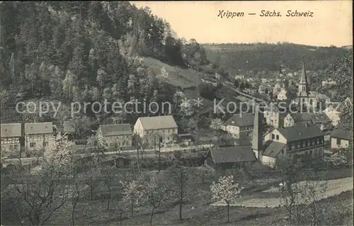 AK / Ansichtskarte Krippen Bad Schandau Ortsansicht mit Kirche Kat. Bad Schandau