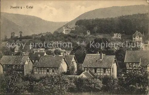 AK / Ansichtskarte Ilsenburg Harz Teilansicht Kat. Ilsenburg Harz