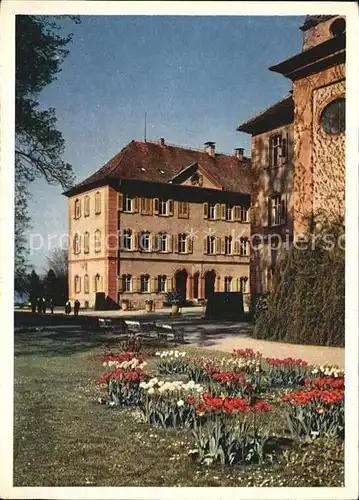 AK / Ansichtskarte Insel Mainau Schloss mit Tulpen Kat. Konstanz Bodensee
