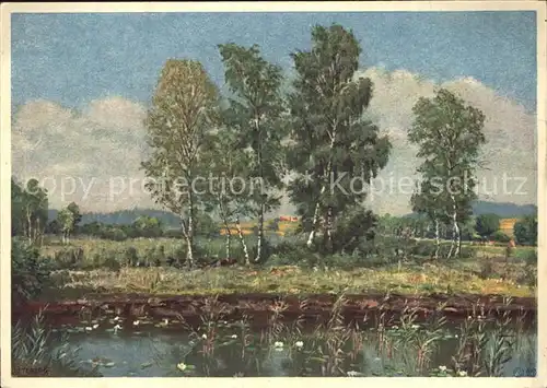 AK / Ansichtskarte Thurgau Schweiz Birken im Moor Le Marais Kuenstlerkarte Herzog No 2335 Kat. Frauenfeld