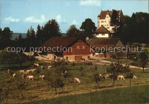 AK / Ansichtskarte Stettfurt Schloss Sonnenberg Bauernhof Viehweide Kuehe Kat. Stettfurt