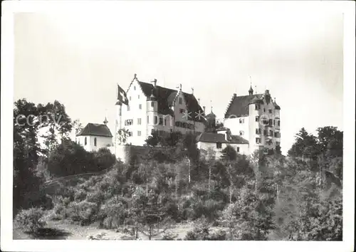 AK / Ansichtskarte Wigoltingen Schloss Altenklingen Kat. Wigoltingen