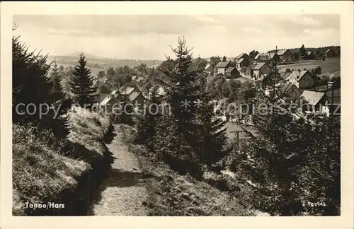 AK / Ansichtskarte Tanne Harz Wanderweg Blick auf den Ort Kat. Tanne Harz