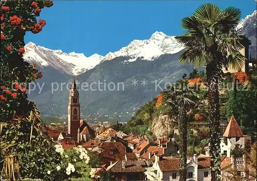 AK / Ansichtskarte Meran Merano mit Kirche und Texelgruppe