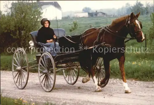 AK / Ansichtskarte Pferdekutschen Amish Lady  Kat. Tiere