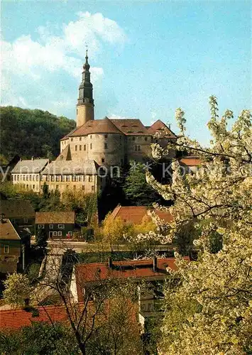 AK / Ansichtskarte Weesenstein Schloss Baumbluete