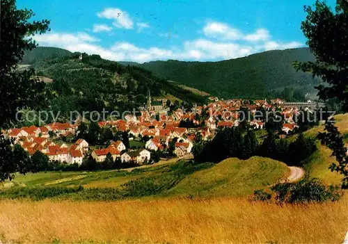 AK / Ansichtskarte Wallenfels Oberfranken Panorama Frankenwald Kat. Wallenfels