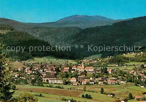 AK / Ansichtskarte Bodenmais Panorama Luftkurort Bayerischer Wald Kat. Bodenmais