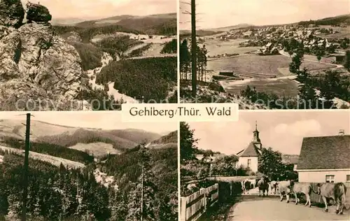 AK / Ansichtskarte Gehlberg Panorama Thueringer Wald Kuhaustrieb Kat. Gehlberg