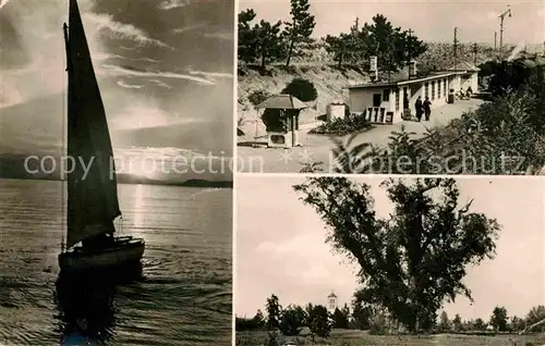 AK / Ansichtskarte Balatonakarattya Segeln am Plattensee