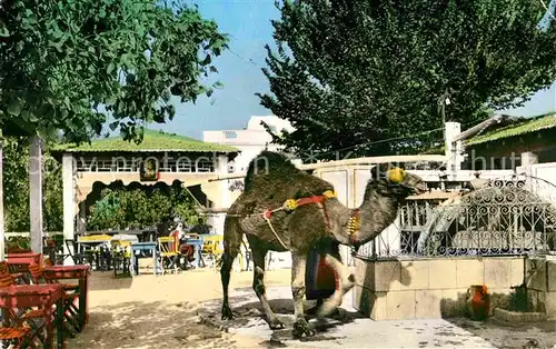 AK / Ansichtskarte La Marsa Cafe du Saf Saf Kat. Tunesien