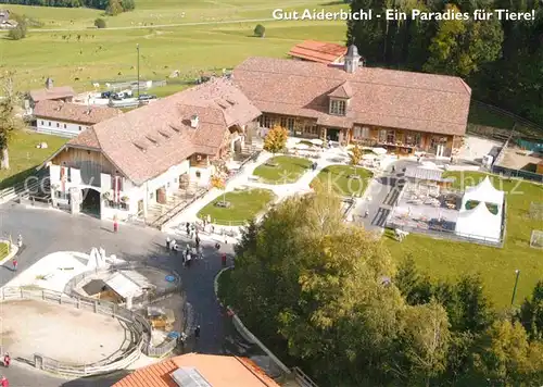 AK / Ansichtskarte Henndorf Wallersee Fliegeraufnahme Gut Aiderbichl Kat. Henndorf am Wallersee