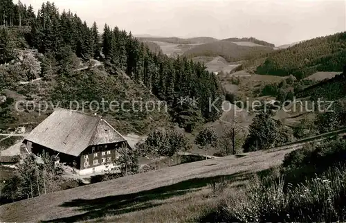 AK / Ansichtskarte Triberg Schwarzwald Nussbachtal Kat. Triberg im Schwarzwald