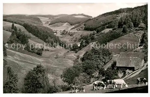 AK / Ansichtskarte Triberg Schwarzwald Nussbachtal Kat. Triberg im Schwarzwald