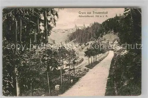 AK / Ansichtskarte Freudenstadt Waldweg Kat. Freudenstadt