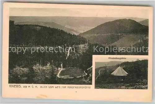 AK / Ansichtskarte Kniebis Freudenstadt Blick vom Weg zur Hindenburghuette Kat. Freudenstadt