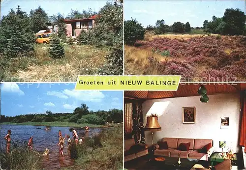AK / Ansichtskarte Nieuw Balinge See Heide