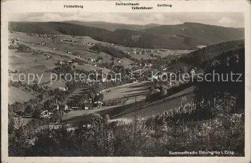 AK / Ansichtskarte Rittersgruen Panorama Sommerfrische Fichtelberg Kat. Rittersgruen