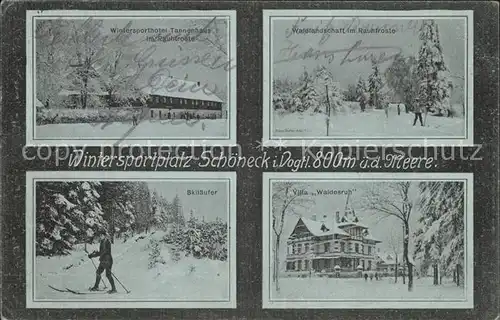 AK / Ansichtskarte Schoeneck Vogtland Wintersporthotel Tannenhaus Waldlandschaft Rauhfroste Villa Waldesruh Skilaeufer Kat. Schoeneck Vogtland