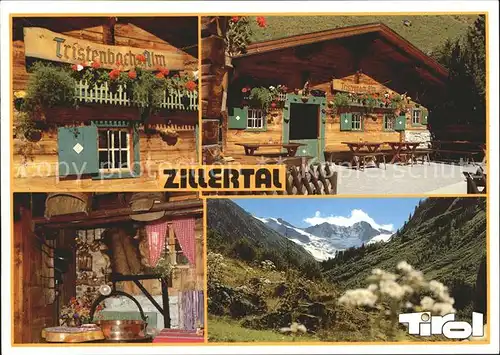 AK / Ansichtskarte Ginzling Tristenbachalm im Floitental Panorama Kat. Mayrhofen