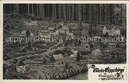 AK / Ansichtskarte Oederan Klein Erzgebirge Miniaturpark im Stadtwald Kat. Oederan