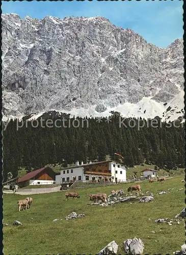 AK / Ansichtskarte Ehrwald Tirol Ehrwalder Alm / Ehrwald /