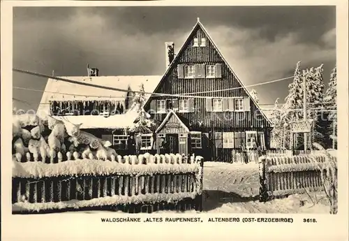 AK / Ansichtskarte Altenberg Erzgebirge Waldschaenke Altes Raupennest im Winter Kat. Geising