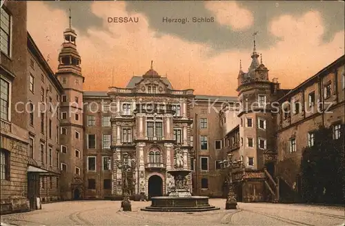 AK / Ansichtskarte Dessau Rosslau Herzogliches Schloss Kat. Dessau Rosslau