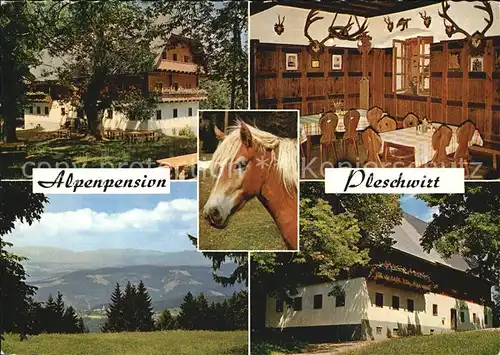 AK / Ansichtskarte Rein Alpenpension Pleschwirt Gastraum Panorama  Kat. Rein