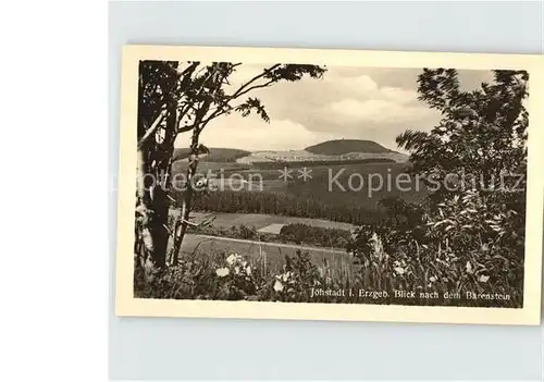 AK / Ansichtskarte Joehstadt Panorama Blick nach dem Baerenstein Kat. Joehstadt
