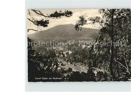 AK / Ansichtskarte Oybin Panorama mit Blick zum Hochwald Zittauer Gebirge Kat. Kurort Oybin